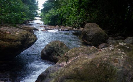 دانلود عکس آبشار طبیعی شانه رودخانه از بالای
