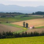 سبد خرید و پرداخت