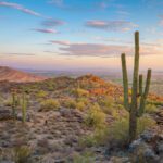 وکتور شبح بدن زن در طرح خطی پس زمینه سیاه