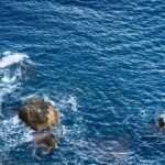 سبد خرید و پرداخت