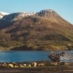 سبد خرید و پرداخت