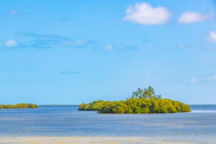 دانلود عکس پانوراما منظره هولباکس جزیره طبیعت ساحل فیروزه ای