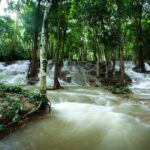 دانلود تصاویر پس زمینه تصویر پس زمینه ساده کارتون اسلحه مینیمالیسم The Legend of Zelda Person Link ارتش مردان