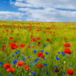 وکتور خالکوبی مینیمالیستی با اشکال هندسی