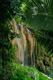 دانلود عکس phu sang مسیر طبیعت آبشار در طبیعت phayao تایلند