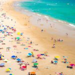 دانلود عکس پوند بریتانیا دراز کشیده روی پس زمینه خاکستری