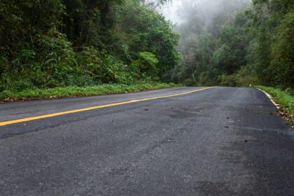 دانلود عکس جاده با جنگل طبیعت و جاده مه آلود جنگل بارانی