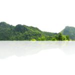 سبد خرید و پرداخت