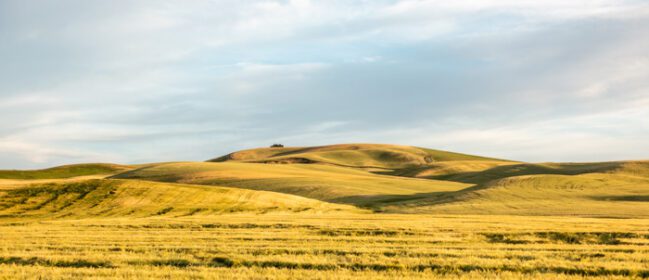 دانلود عکس تپه های نورد و زمین های مزرعه در پالوس واشینگتون