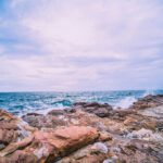 سبد خرید و پرداخت