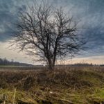 دانلود قالب لوگو حرف c یا sc monogram با طرح کارت ویزیت