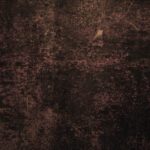 وکتور تصویر برداری دوچرخه یکپارچهسازی با سیستمعامل وسپا تصویر برداری وسیله نقلیه قدیمی سبک تصویری معتبر وکتور رایگان روروک مخصوص بچه‌ها یکپارچهسازی با سیستمعامل وسپا برای تمام وسایل نقلیه کلاسیک دوچرخه شیء قدیمی کلکسیونرهای هیپستر و فرهنگ پاپ