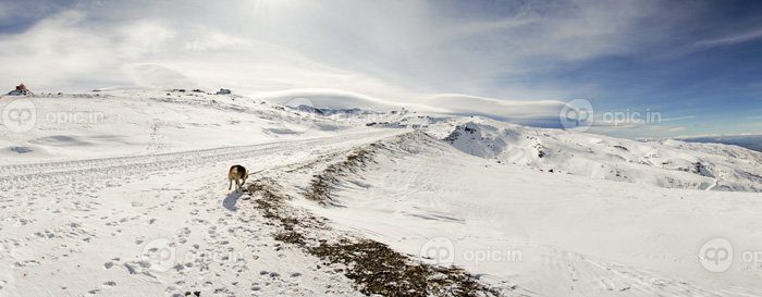 دانلود عکس پیست اسکی سیرا نوادا در زمستان پر از برف
