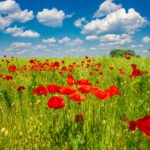 پوستر این طرح وکتور انتزاعی برای پس زمینه بروشور پوستر یا پروژه عالی بعدی شما عالی است