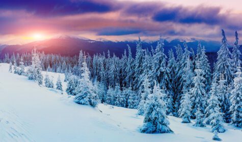 دانلود عکس منظره آفتابی زمستانی