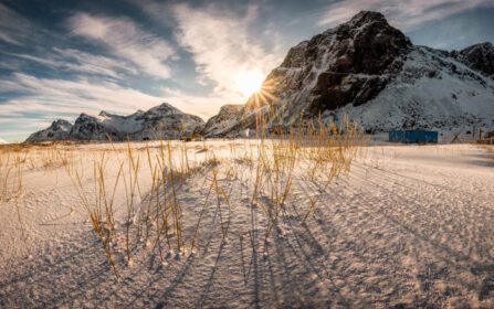 دانلود عکس طلوع خورشید در کوه با توده علف روی برفی