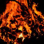 دانلود ماکارونی پن در سس گوجه فرنگی با مرغ ، گوجه فرنگی که با جعفری تزئین شده در یک پس زمینه چوبی تزئین شده است