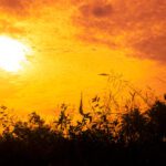 سبد خرید و پرداخت