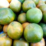 سبد خرید و پرداخت