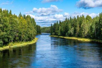 دانلود عکس سنگ معدن رودخانه در سوئد در حال جریان از میان یک جنگل سبز