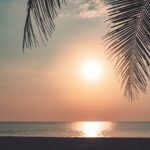 دانلود کارت ویزیت کارت ویزیت بک دراپ قرمز مشکی