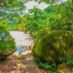 سبد خرید و پرداخت