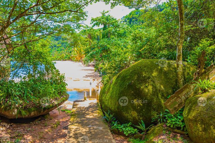 دانلود عکس جزیره طبیعت گرمسیری ilha grande praia de palmas beach