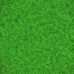 دانلود عکس پس زمینه گچ بری دیوار آشفته فیروزه ای و طلایی