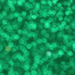 سبد خرید و پرداخت