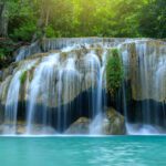 سبد خرید و پرداخت