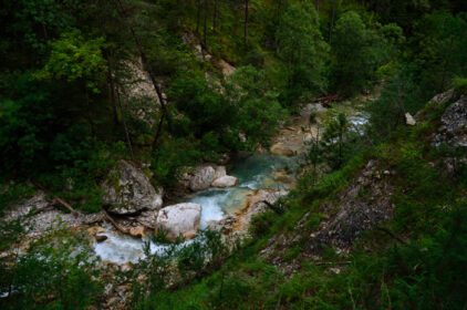 دانلود عکس نهر وحشی در طبیعت