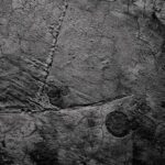 مجموعه وکتور ابزار آرایش تزئینی تصویر برداری لوازم آرایشی و بهداشتی