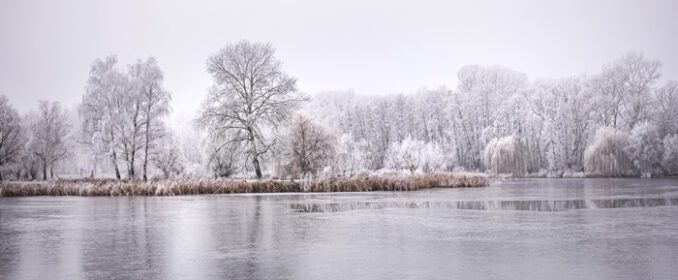دانلود عکس جنگل زمستانی رودخانه و دریاچه منظره در طبیعت برفی