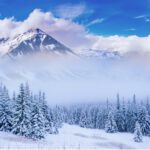 دانلود عکس بطری شیشه ای با شیر بادام و بادام روی میز
