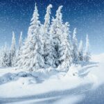 دانلود مجموعه طراحی قالب پست شبکه اجتماعی boxing day