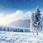 دانلود لوگو لوگوی پرنده با حرف x طرح لوگوی پرنده مناسب