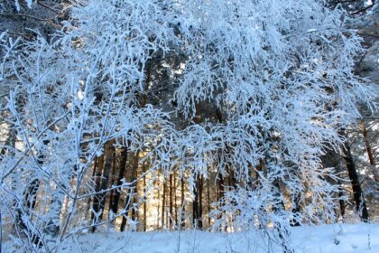 دانلود عکس طبیعت فوق العاده زمستانی