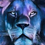 بسته گرافیکی وکتور رایگان وکتور دونالد ترامپ با تصاویر وکتورهای ترامپ عناصر طراحی نمادها و نمادهای وکتور کلیپ آرت مجموعه وکتور رسانه دیجیتال ترکیبی جالب با پرتره های وکتور سرمقاله از دونالد