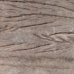 سبد خرید و پرداخت