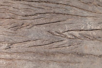 دانلود عکس استفاده از بافت چوب قدیمی برای پس زمینه