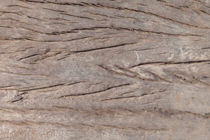 دانلود عکس بافت چوب قدیمی وینتیج طبیعی