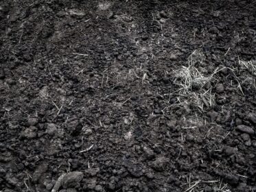 دانلود عکس بافت کود ارگانیک سیاه خاک کشاورزی