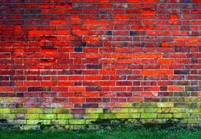 دانلود عکس دیوار آجری قرمز و سبز پر جنب و جوش در انگلستان