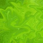 سبد خرید و پرداخت