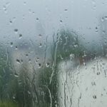 سبد خرید و پرداخت