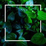 دانلود قالب رول آپ بنر برای بسته بندی شرکتی