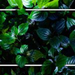 سبد خرید و پرداخت