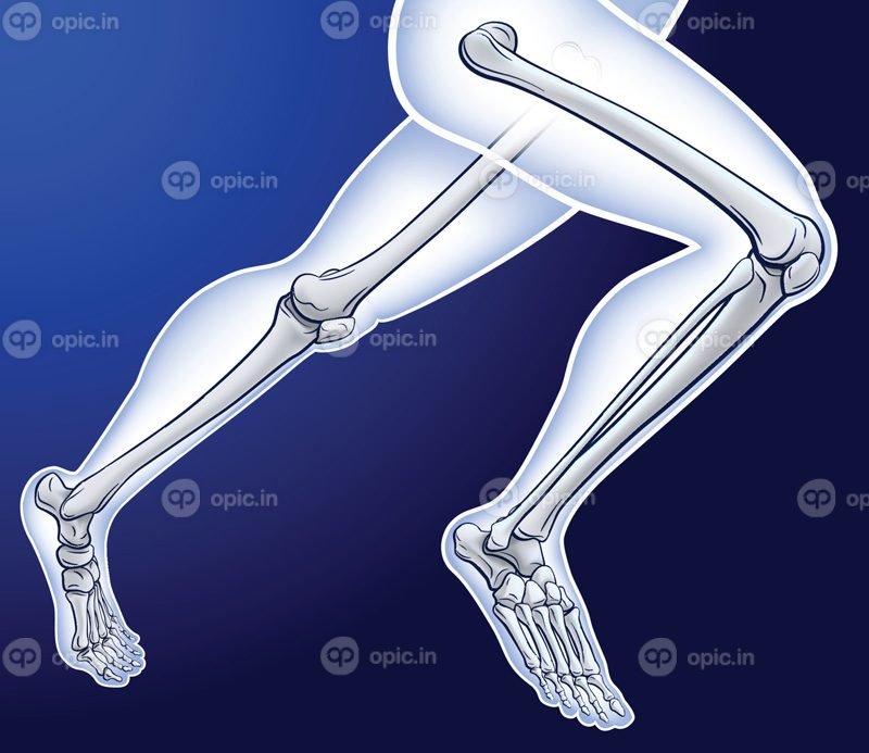 وکتور تصویر سه بعدی مرد در حال دویدن با اسکلت از مچ پا تا
