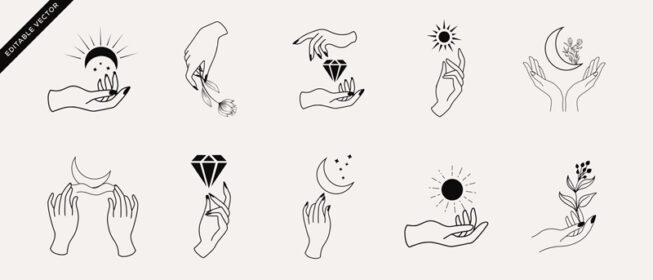 وکتور مجموعه ای از مجموعه نمادهای دست زنانه به صورت خطی مینیمال