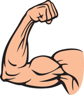 وکتور بازوی خم کننده عضله دوسر که بدنساز قدرتمند را نشان می دهد